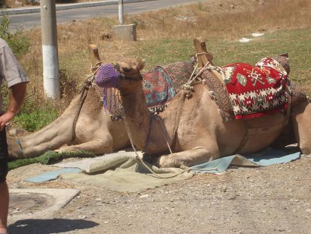 turquie 2006