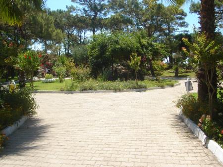 Turquie 2006
